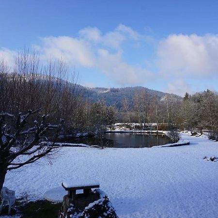 La Maison Et L'Etang - Grand Terrain Prive Vagney Екстер'єр фото