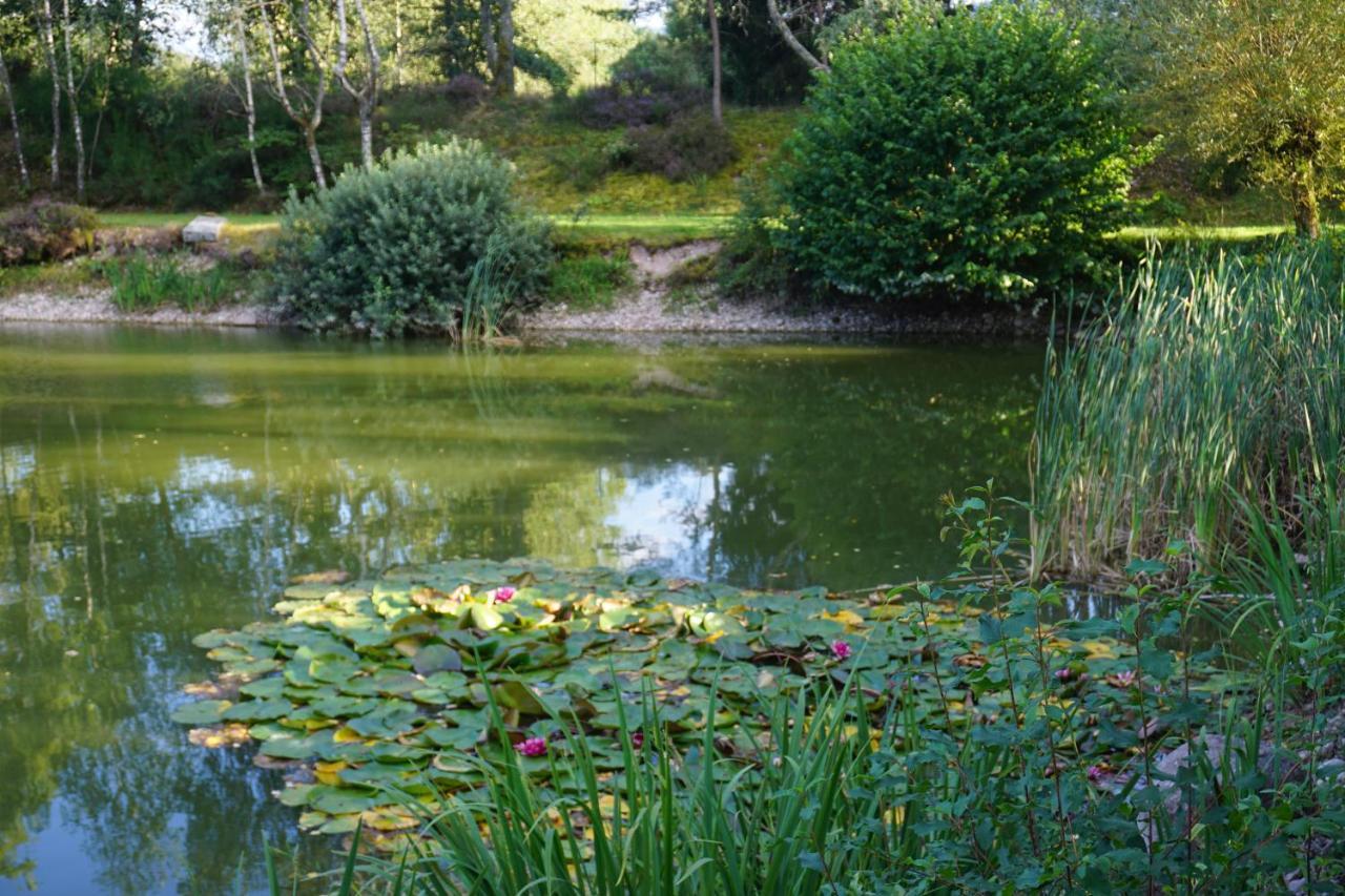 La Maison Et L'Etang - Grand Terrain Prive Vagney Екстер'єр фото