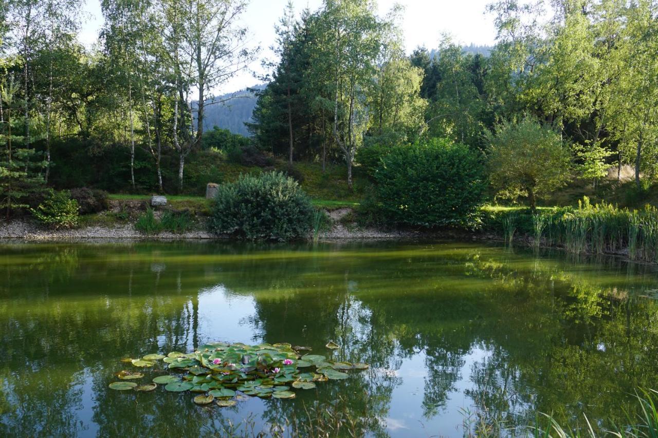 La Maison Et L'Etang - Grand Terrain Prive Vagney Екстер'єр фото
