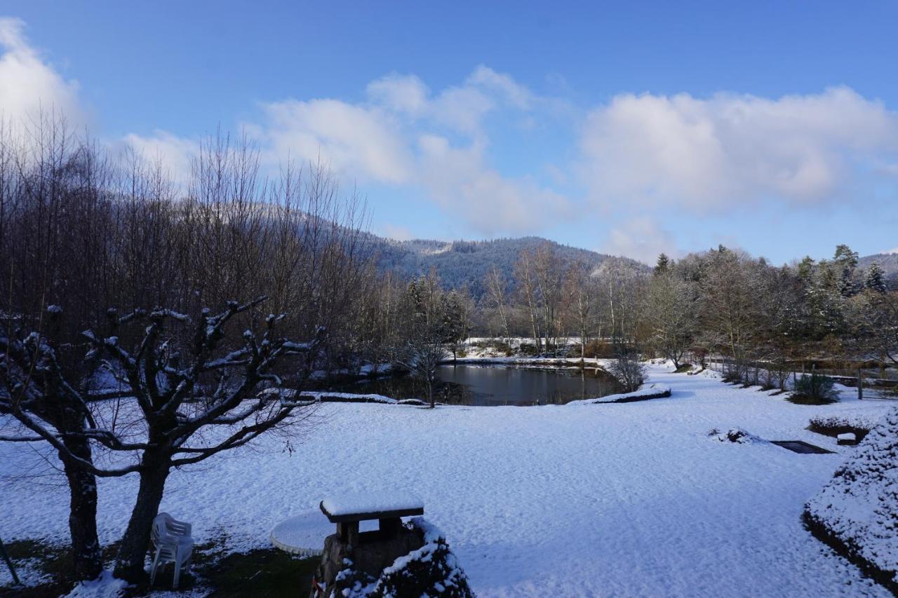 La Maison Et L'Etang - Grand Terrain Prive Vagney Екстер'єр фото